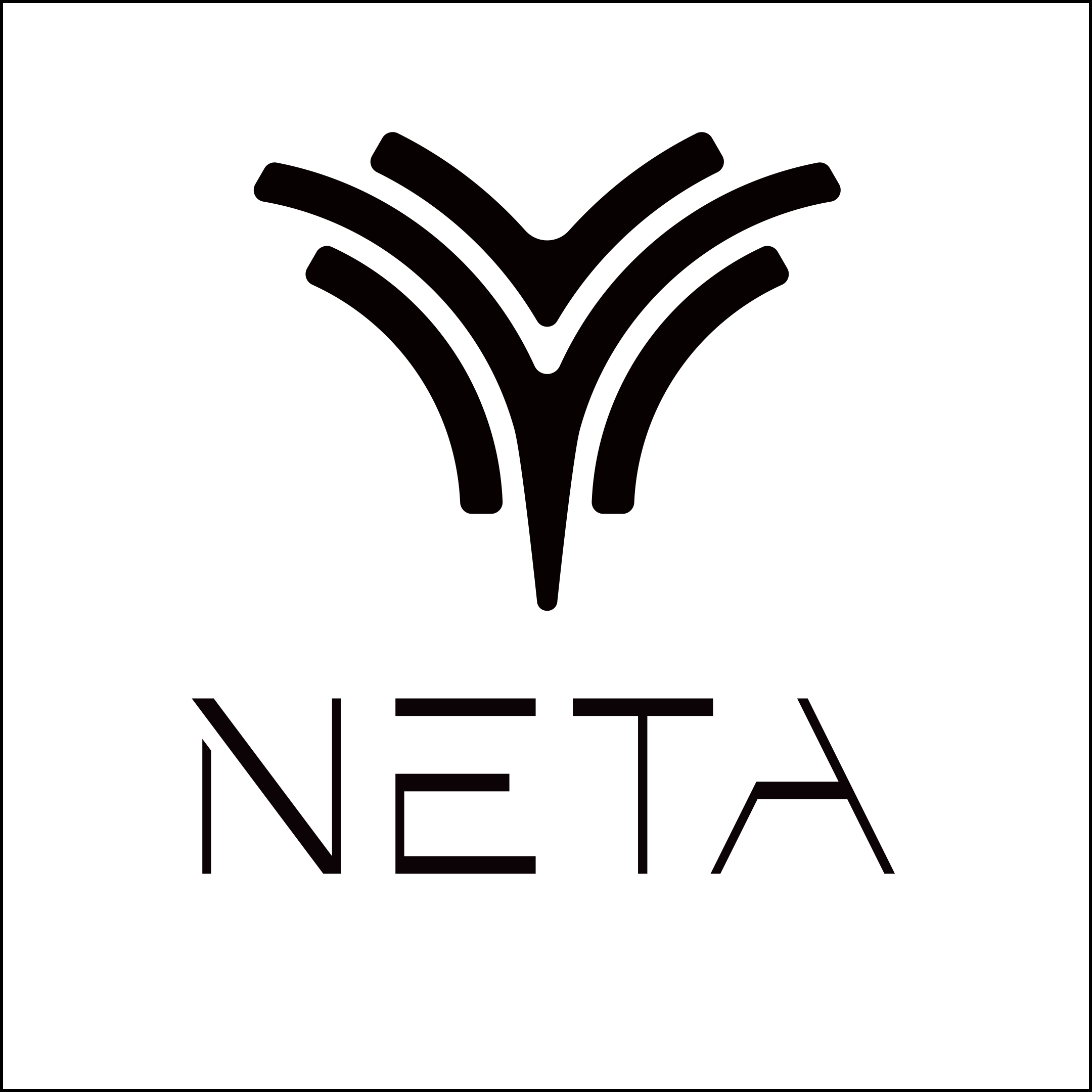NETA